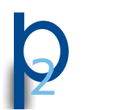 p2 Surveyors